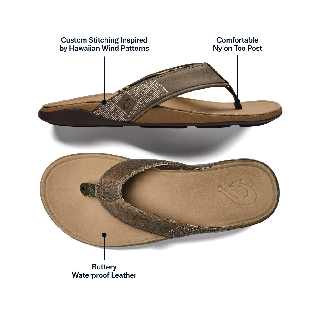 Tuahine - Hunter / Golden Sand - Image 4